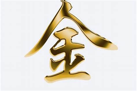 屬金 字|五行属金的字